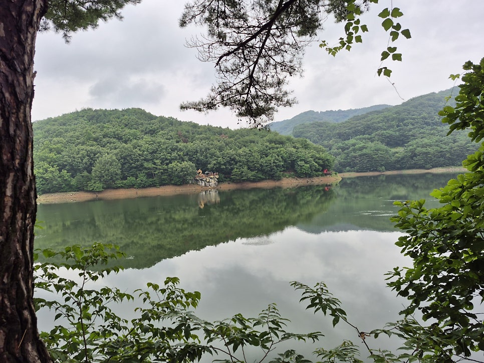 천장호 사진 5