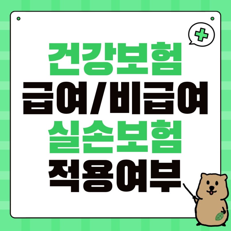 [보험청구] 병원 진료 급여 비급여 차이 뜻 의미, 실손보험 적용 여부