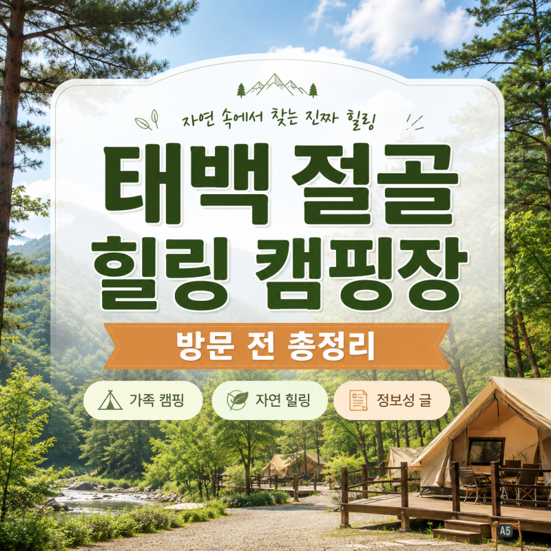 태백 여름휴가 절골 힐링 캠핑장 예약 전 확인할 정보