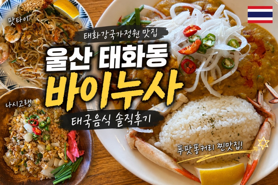 바이누사 사진 1