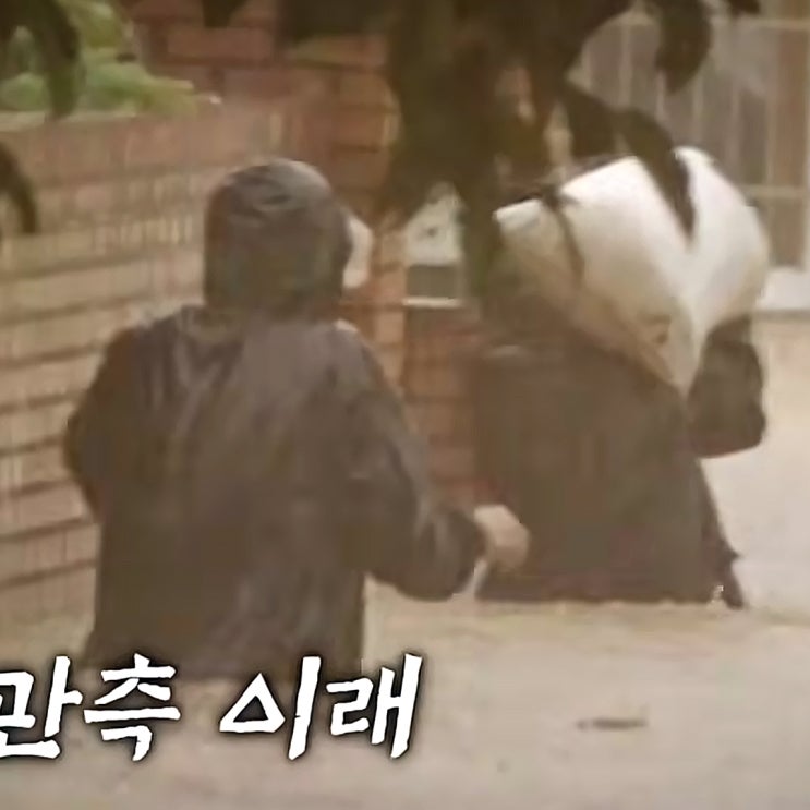 꼬꼬무 <b>태풍 루사</b> 강릉 피해 어느정도였길래? 김영곤 대위 사연... 