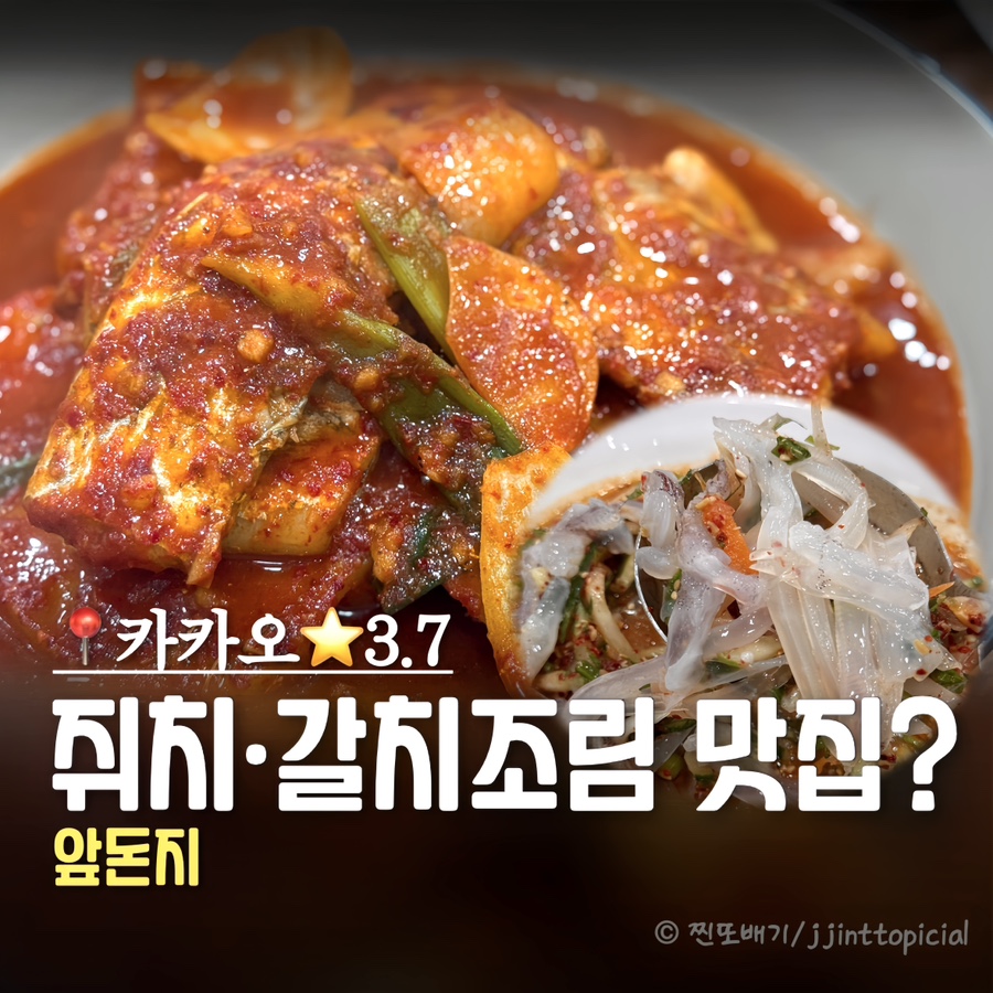 앞돈지 사진 1