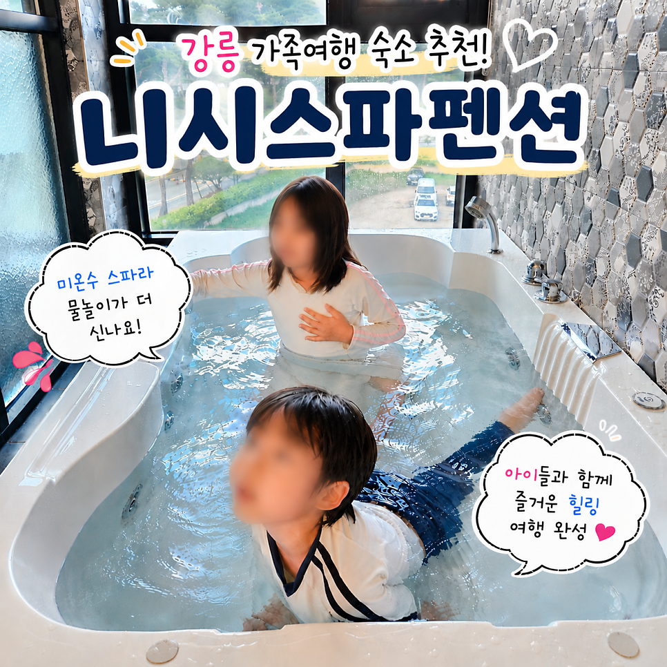 니시스파펜션 사진
