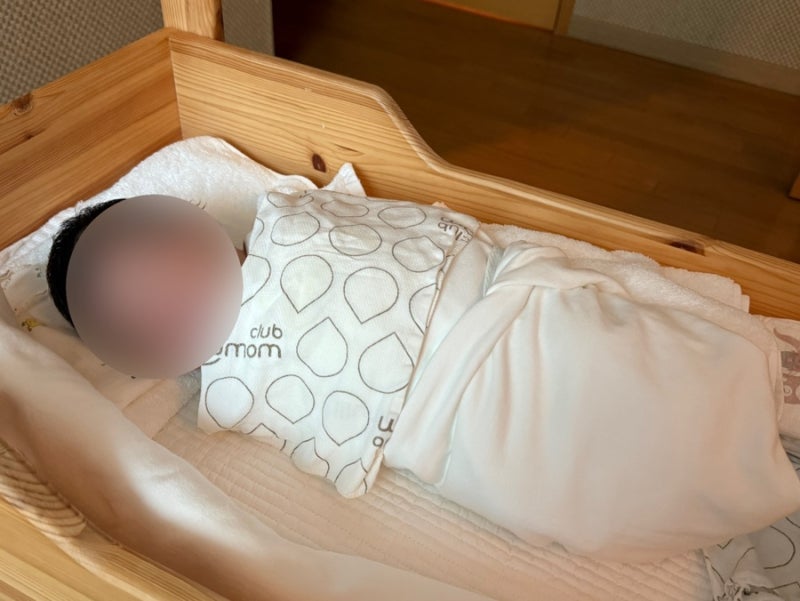 송파 산후조리원 레이나산후조리원 13박 14일 VIP룸 VVIP룸 이용후기 송파고은빛산부인과