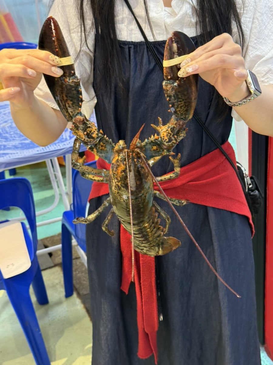 해운대포차 랍스타포차 미포1호 사진 1