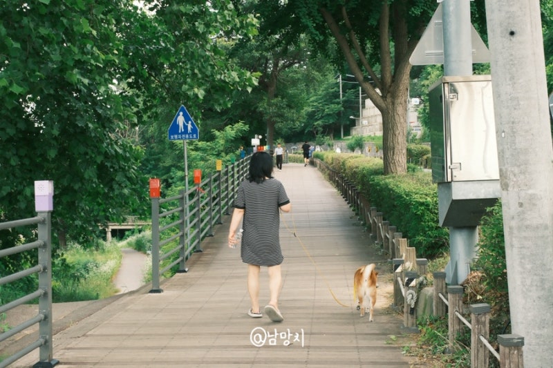후지필름 x-t30iii 카메라 언박싱 후기 및 작례