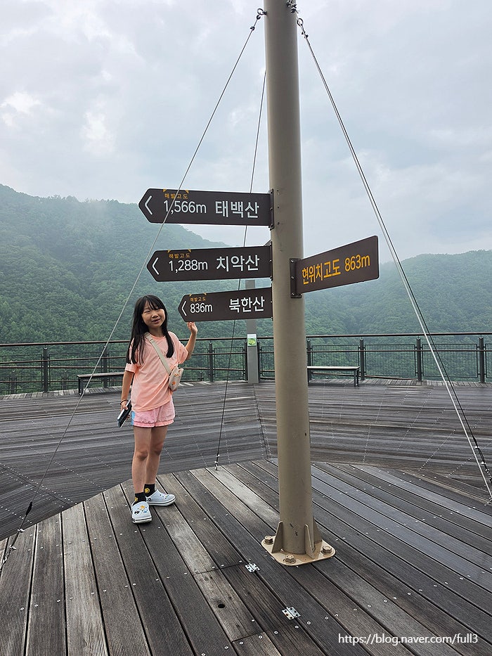 2026년 7월 태백산 소도야영장1