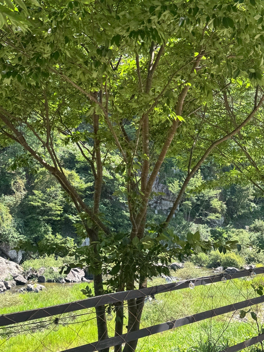 거창한밤 캠핑장 사진 6