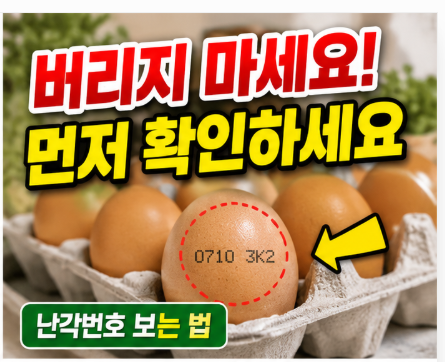 2026 계란 유통기한 지난 거 먹어도 될까? 소비기한·상한 계란 확인법·난각번호 보는 법까지 ....