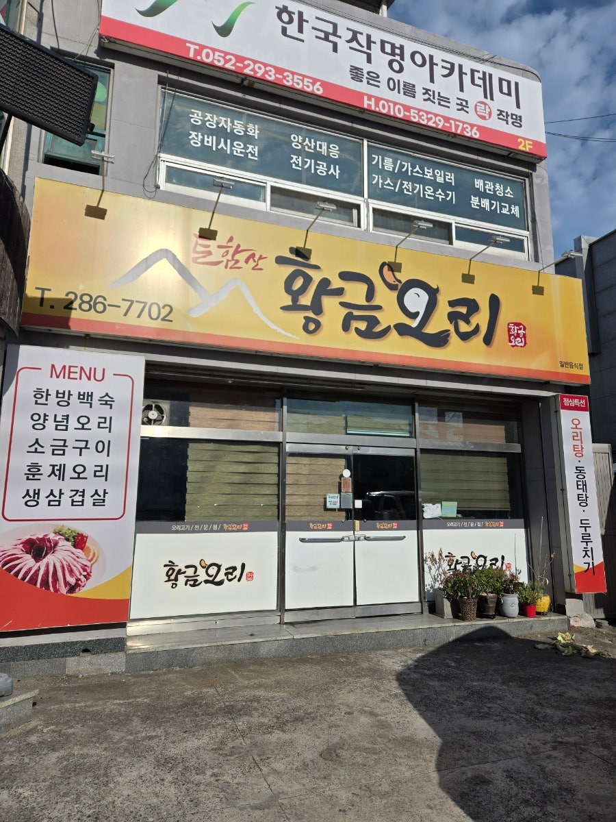 토함산 황금오리 사진 1