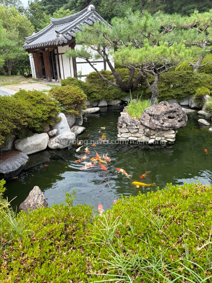 묘운 사진 4