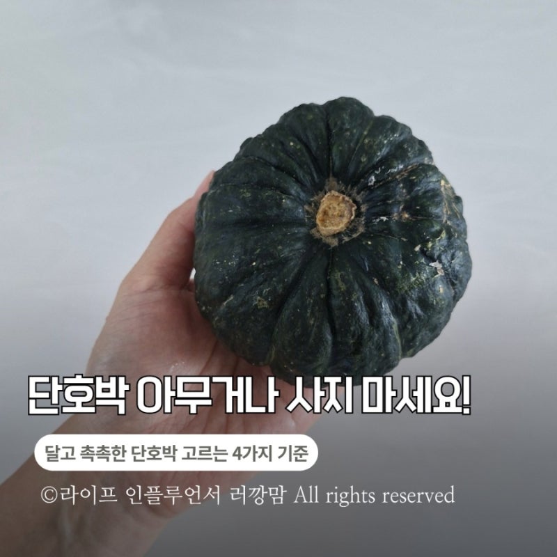 단호박 고르는 법! 달고 촉촉한 단호박은 꼭지부터 다릅니다