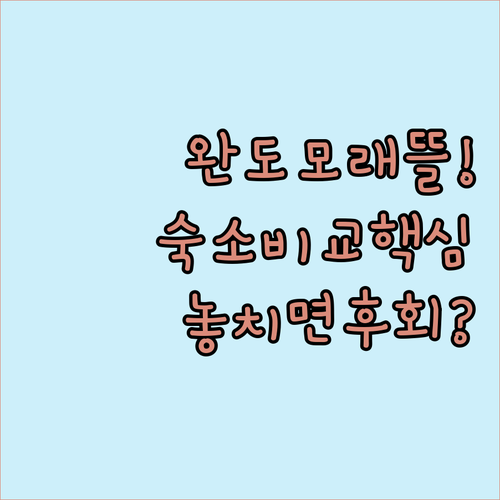 완도모래뜰 사진 2