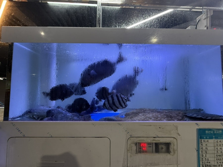 오창횟집 사진 4