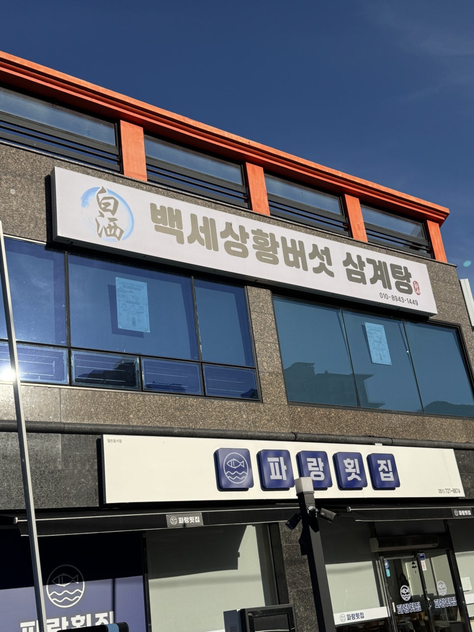 백세상황버섯삼계탕 사진 2