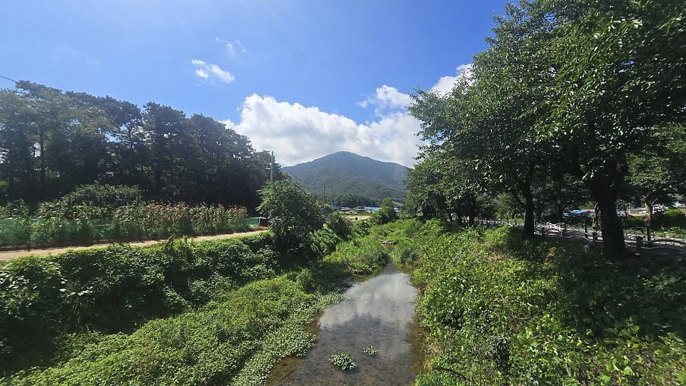 오서산 사진 1