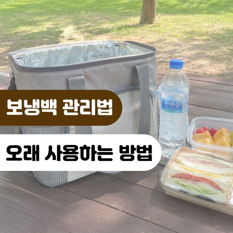 보냉백 관리, 오래 사용하려면 꼭 알아야 하는 4가지