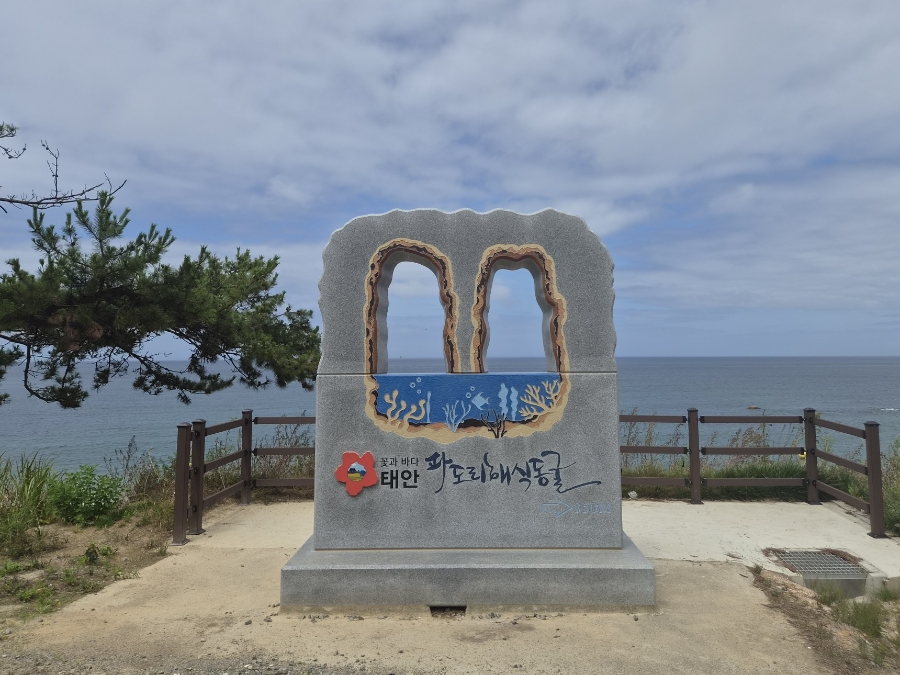 파도리해수욕장 사진 1