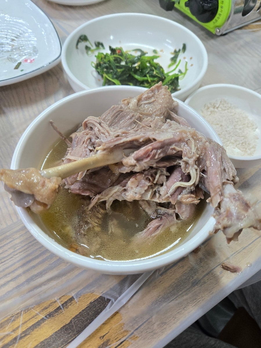 토함산 황금오리 사진 6