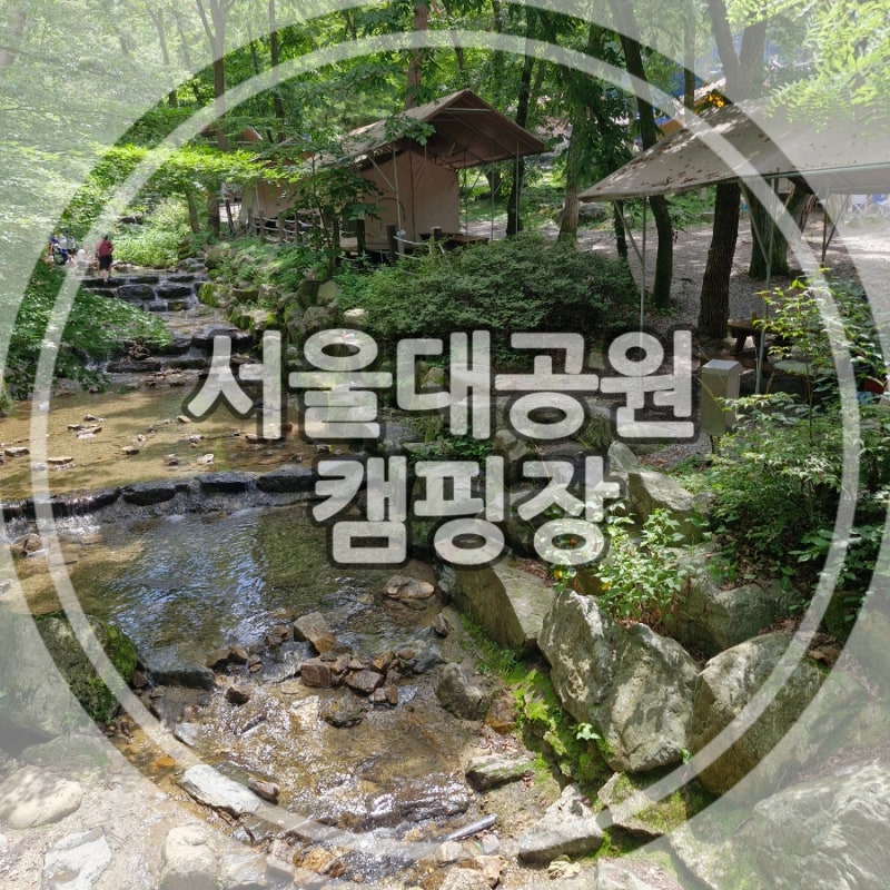 경기도 계곡 캠핑장) 서울대공원 캠핑장 명당자리, 예약, 주차, 전기카트 이용방법