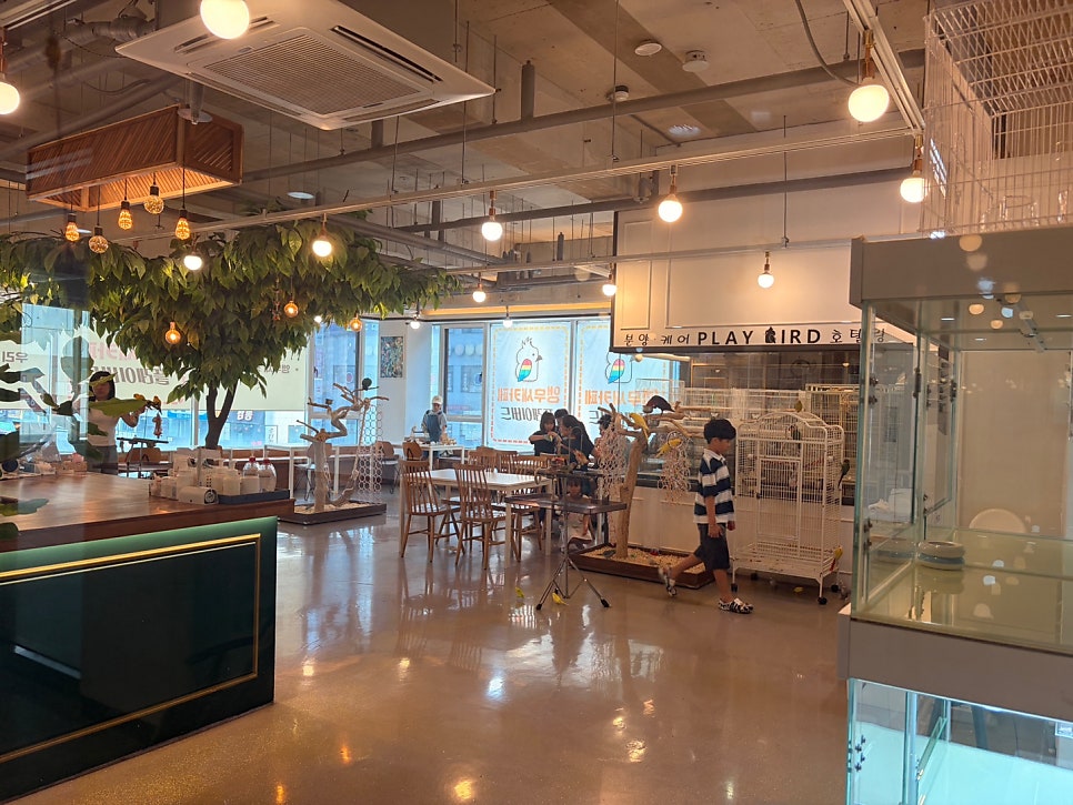 앵무새카페 플레이버드 사진 6