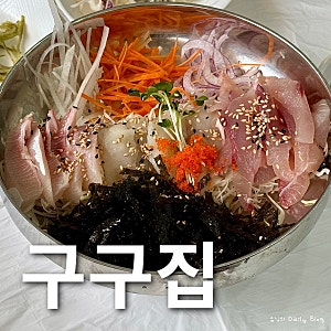 속초 시외버스터미널 근처 회덮밥 물회 맛집 내돈내산 추천 구구집