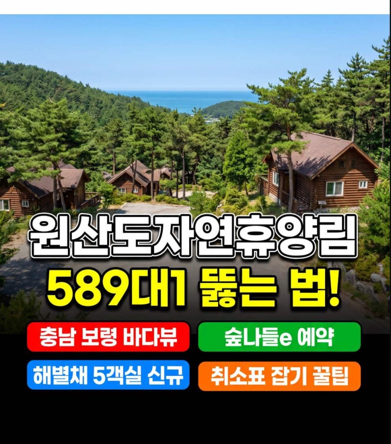 2026년 8월 원산도자연휴양림 해별채 예약 589대1 뚫는 숲나들e 꿀팁 총정리