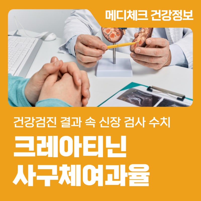 크레아티닌·사구체여과율, 건강검진 결과 속 신장 검사 수치 이해하기