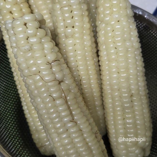 제철 옥수수 맛있게 삶는법 찌는시간 손질법 보관법 총정리