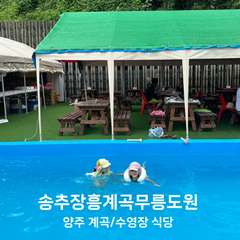 양주 계곡 식당 송추장흥계곡무릉도원 오리백숙 양주물놀이식당추천