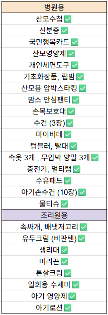 내돈내산 l 자연분만 여름 출산가방 출산준비물 리스트 추천 비추천