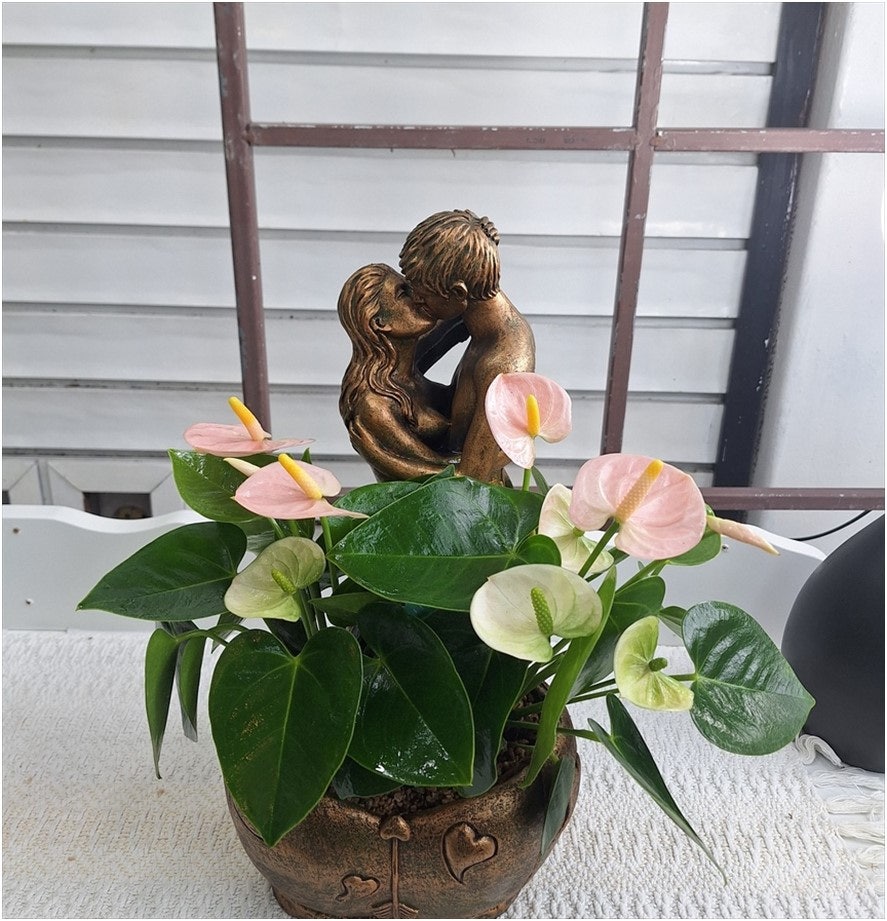가람꽃화원 사진 1