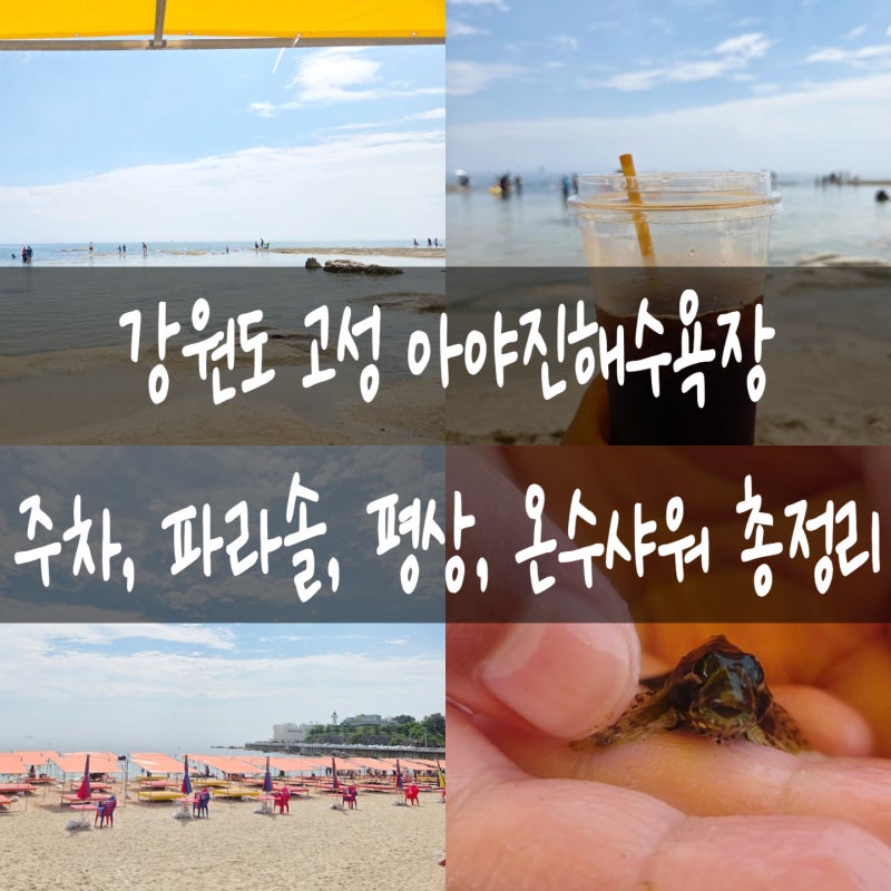 강원도 고성 아야진해수욕장 주차장 파라솔 평상 온수샤워 먹거리 총정리