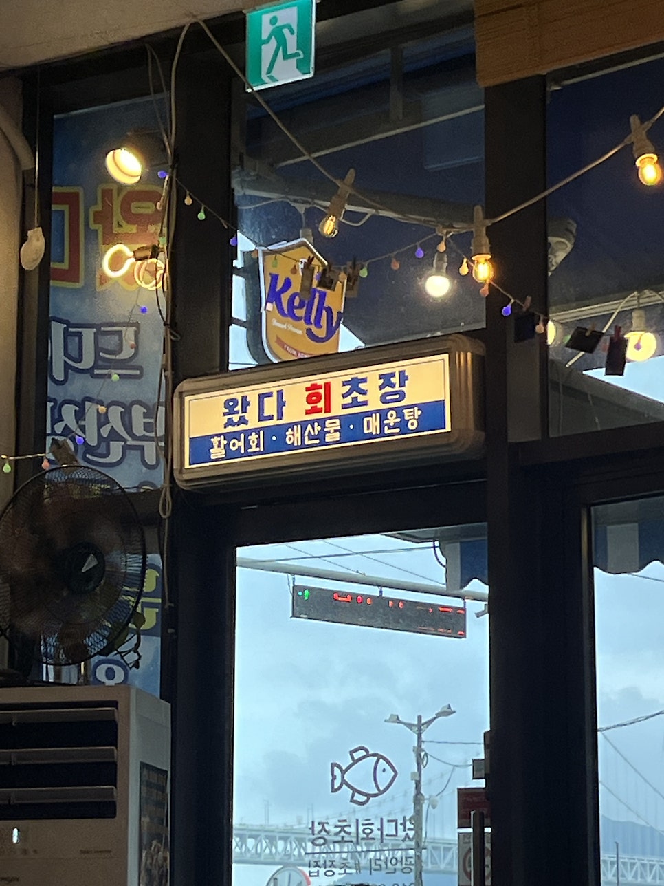 왔다회초장 사진 4