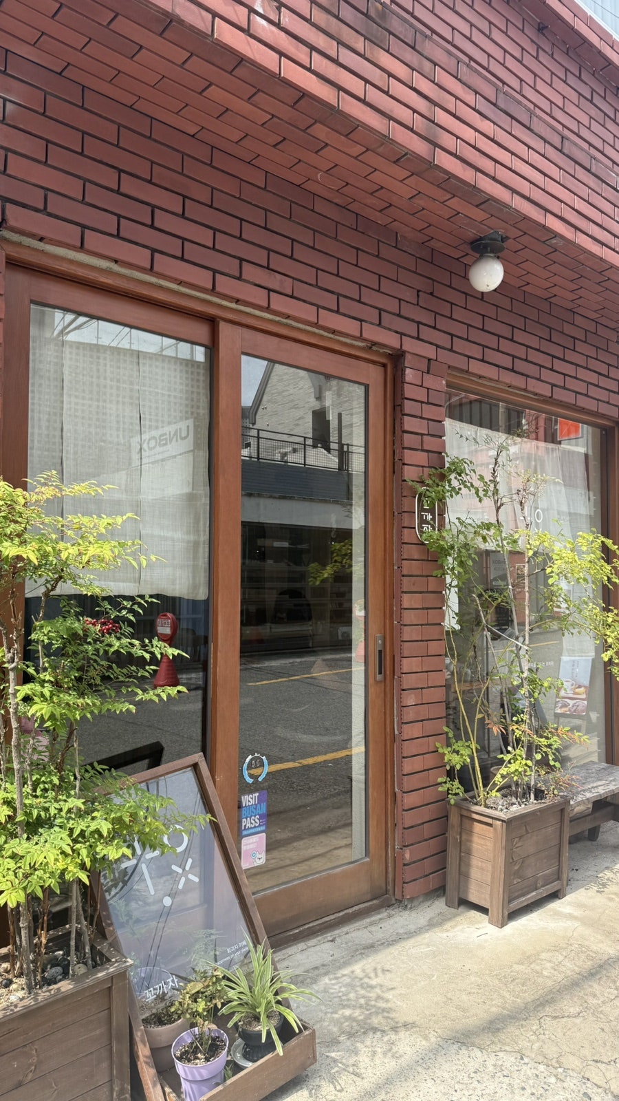 부산갈매기 사진 2