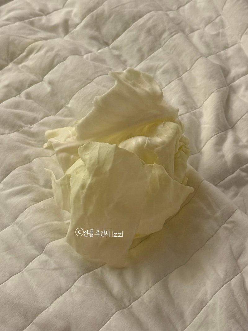 조리원에서 쓰는 일기(2) 신생아 생후5일차 젖몸살엔 양배추팩