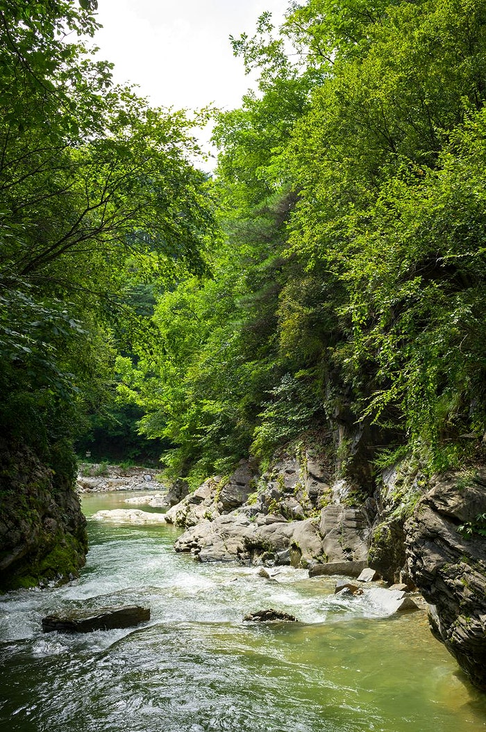 덕산기계곡 사진 5