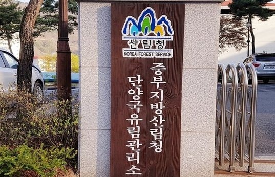 단양군청 사진 5