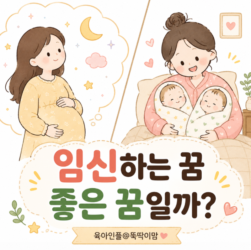 임신하는꿈 좋은 뜻일까? 내가 임신·쌍둥이 꿈 상황별 의미