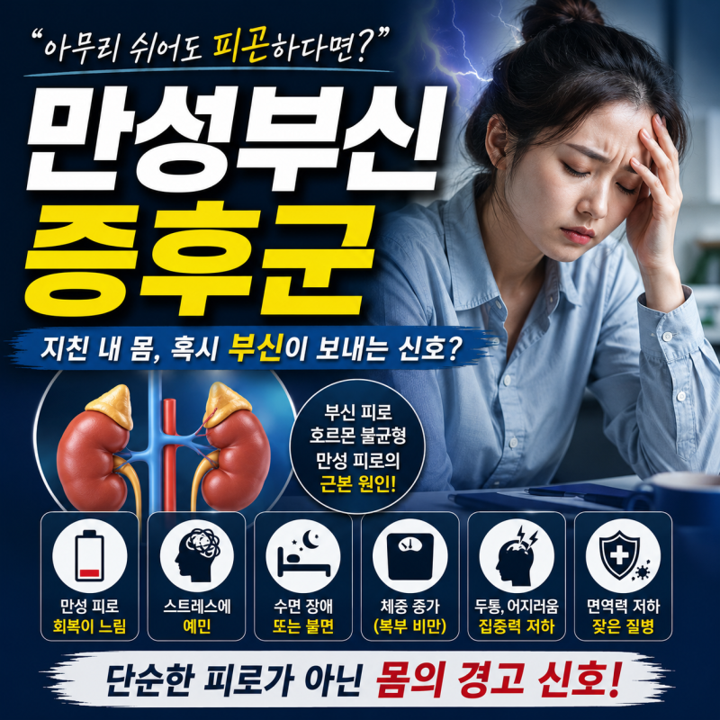 만성부신증후군이란? 만성 피로의 원인일까?