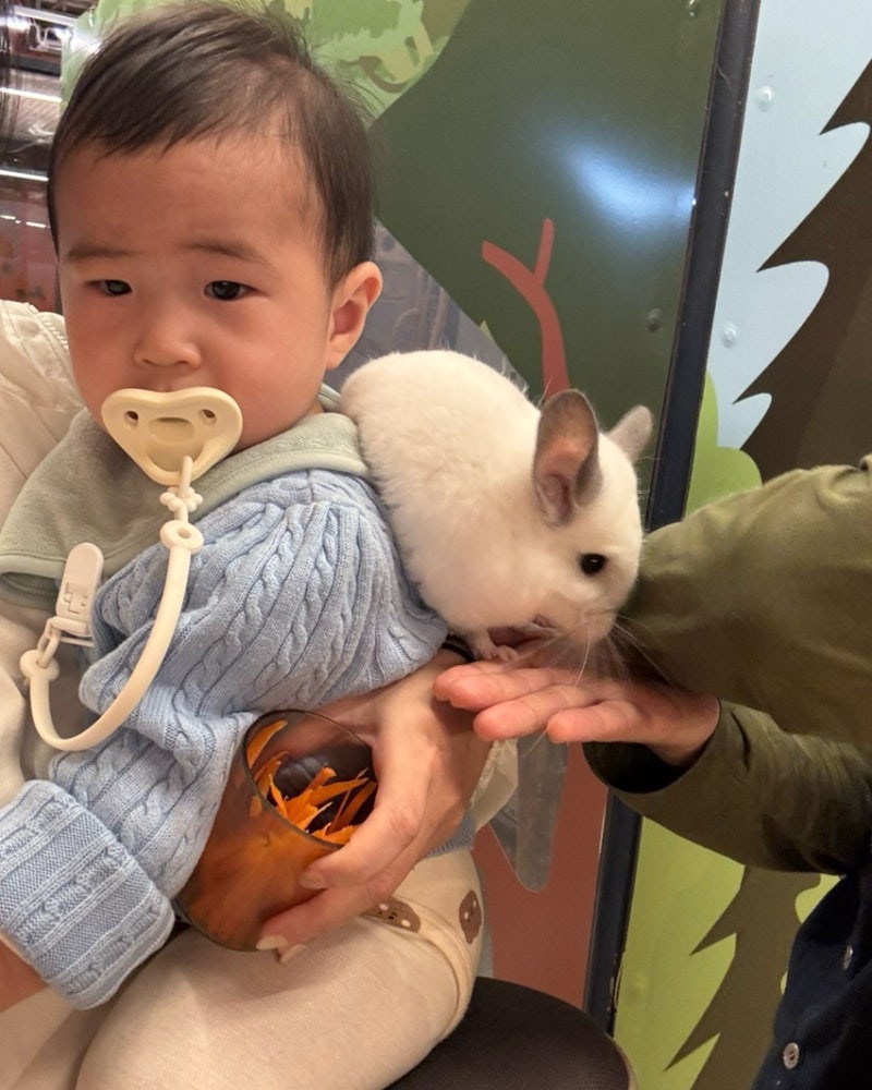 [세종 쥬라리움] 아기랑 가볼 만한 곳 | 17개월까지 무료! 11개월·16개월 아기랑 두 번 다녀온 ....