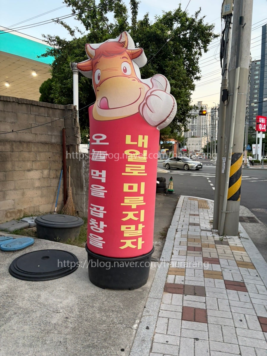 버들식당 월배점 사진 2