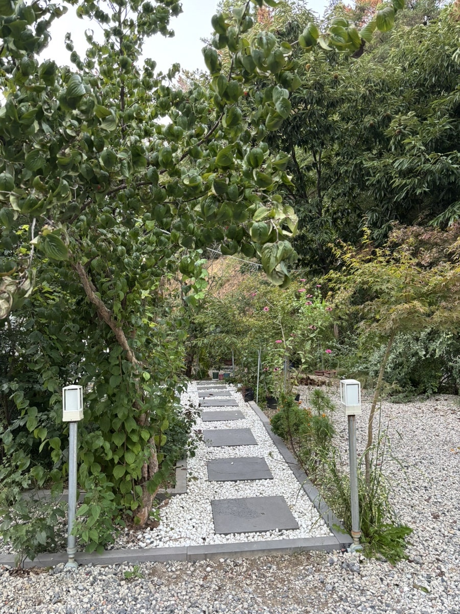 허니웍스 사진 1