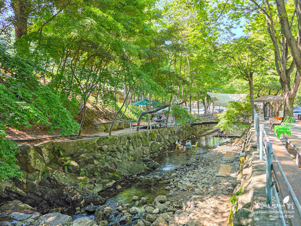 토일농원 사진 6