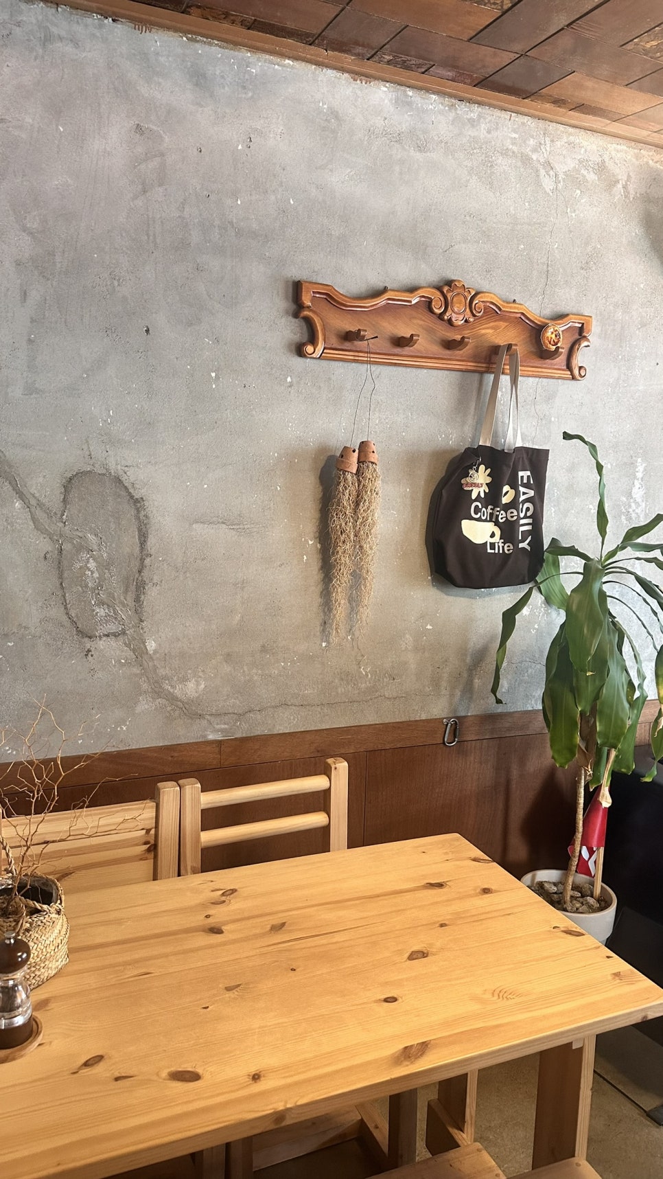 이진리 사진 6