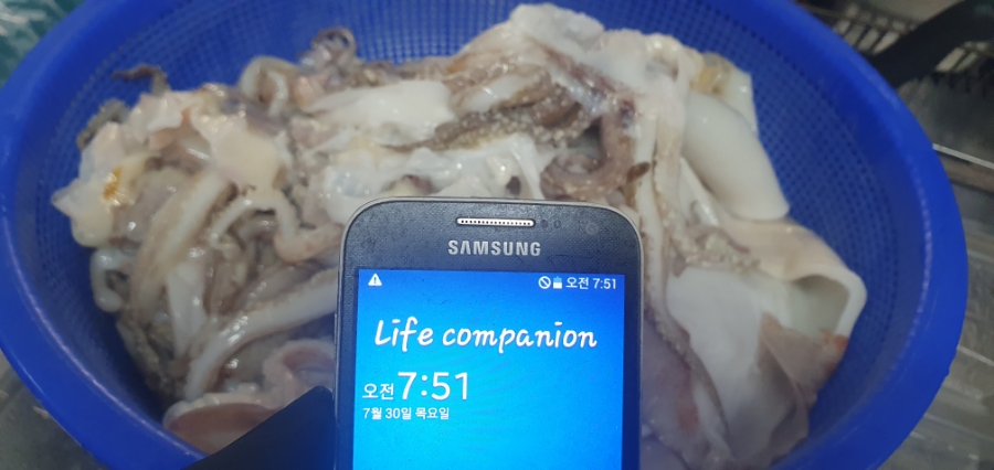 대청얼큰오징어찌개 사진 3