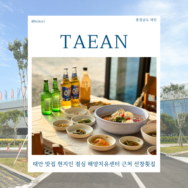 태안 맛집 현지인 점심 해양치유센터 근처 마검포 선창횟집 갑오징어 물회