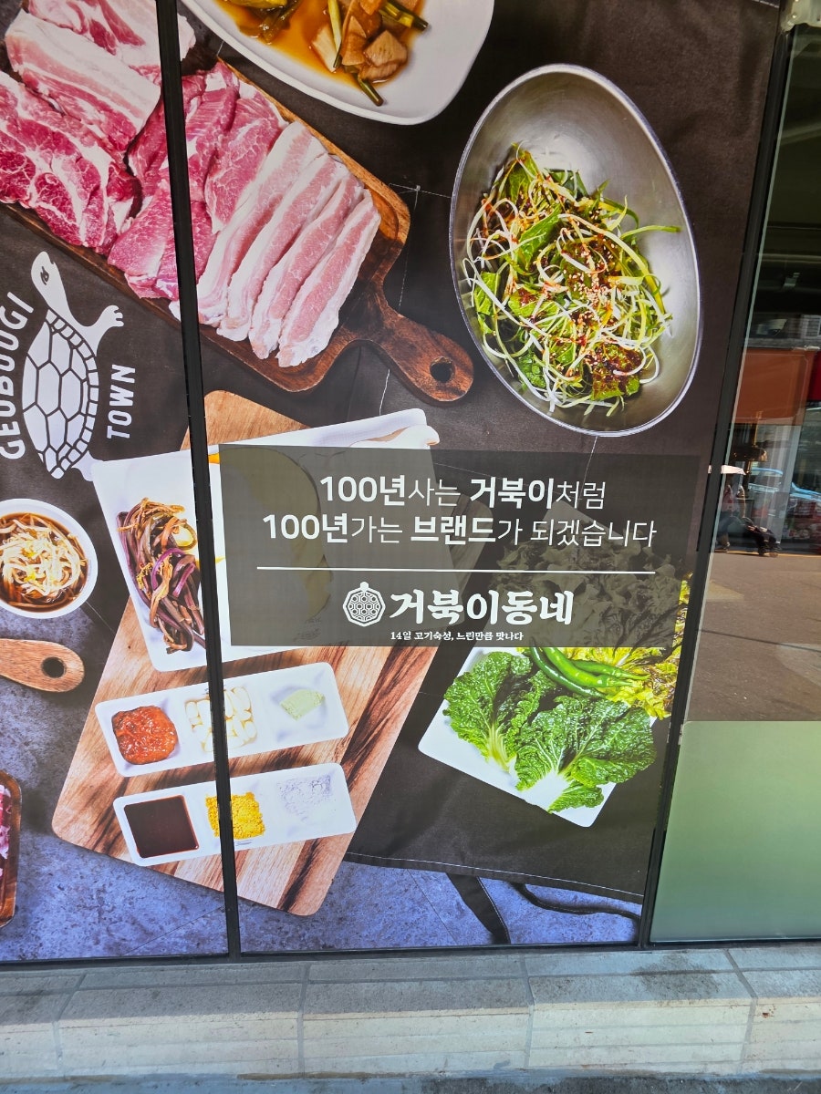 거북이 사진 3