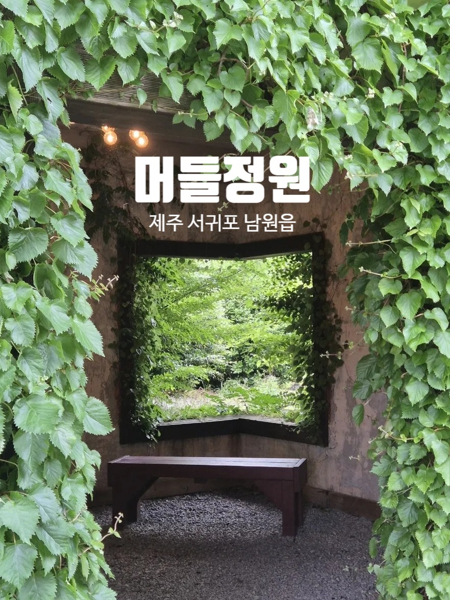 머들 사진 1