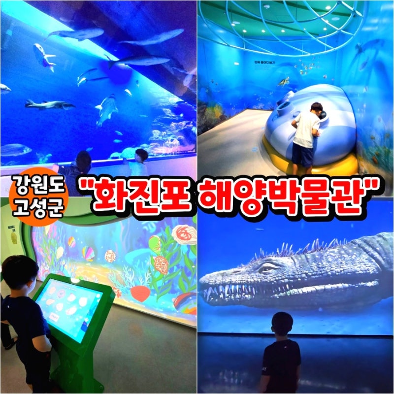 강원도 고성 화진포해양박물관 속초 실내 놀거리 체험 아쿠아리움 아이와가볼만한곳 추천